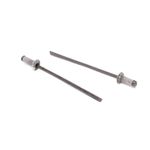 Lateral