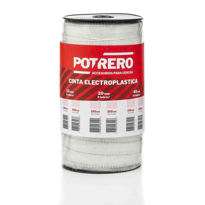 pateador