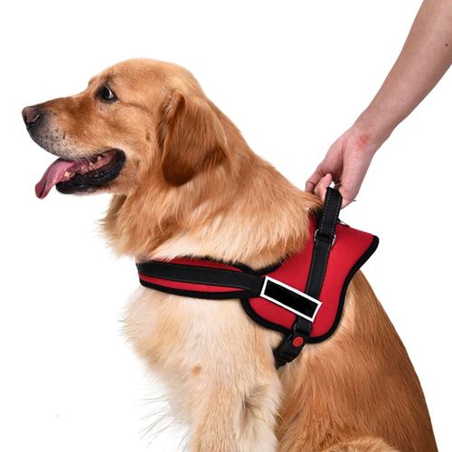 Pretal Arnés Pechera Acolchonado Para Perros